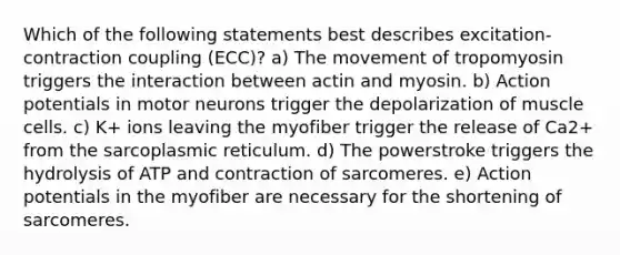 Which of the following statements best describes excitation-contraction coupling (ECC)? a) The movement of tropomyosin triggers the interaction between actin and myosin. b) Action potentials in motor neurons trigger the depolarization of muscle cells. c) K+ ions leaving the myofiber trigger the release of Ca2+ from the sarcoplasmic reticulum. d) The powerstroke triggers the hydrolysis of ATP and contraction of sarcomeres. e) Action potentials in the myofiber are necessary for the shortening of sarcomeres.