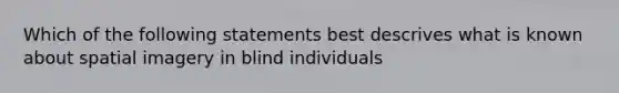 Which of the following statements best descrives what is known about spatial imagery in blind individuals