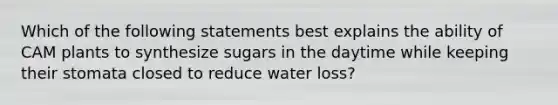 Which of the following statements best explains the ability of CAM plants to synthesize sugars in the daytime while keeping their stomata closed to reduce water loss?