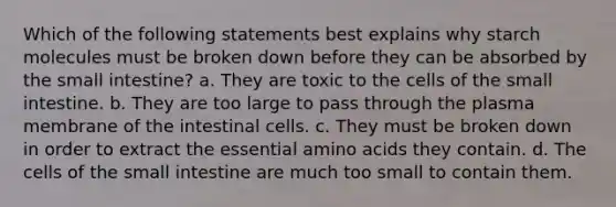 Which of the following statements best explains why starch molecules must be broken down before they can be absorbed by the small intestine? a. They are toxic to the cells of the small intestine. b. They are too large to pass through the plasma membrane of the intestinal cells. c. They must be broken down in order to extract the essential amino acids they contain. d. The cells of the small intestine are much too small to contain them.