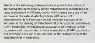 Which of the following statements best predicts the effect of increasing the permeability of the mitochondrial membranes to large molecules? A ATP production will increase because of an increase in the rate at which proteins diffuse out of mitochondria. B ATP production will increase because of an increase in the mixing of mitochondrial and cytosolic substances. C ATP production will decrease because of an increase in the occurrence of uncontrolled chemical reactions. D ATP production will decrease because of an increase in the surface area of the mitochondrial membranes.