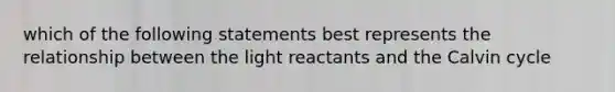 which of the following statements best represents the relationship between the light reactants and the Calvin cycle