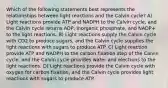 Which of the following statements best represents the relationships between light reactions and the Calvin cycle? A) Light reactions provide ATP and NADPH to the Calvin cycle, and the Calvin cycle returns ADP, inorganic phosphate, and NADP+ to the light reactions. B) Light reactions supply the Calvin cycle with CO2 to produce sugars, and the Calvin cycle supplies the light reactions with sugars to produce ATP. C) Light reaction provide ATP and NADPH to the carbon fixation step of the Calvin cycle, and the Calvin cycle provides water and electrons to the light reactions. D) Light reactions provide the Calvin cycle with oxygen for carbon fixation, and the Calvin cycle provides light reactions with sugars to produce ATP.