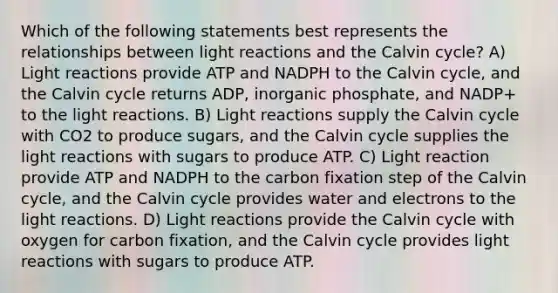 Which of the following statements best represents the relationships between light reactions and the Calvin cycle? A) Light reactions provide ATP and NADPH to the Calvin cycle, and the Calvin cycle returns ADP, inorganic phosphate, and NADP+ to the light reactions. B) Light reactions supply the Calvin cycle with CO2 to produce sugars, and the Calvin cycle supplies the light reactions with sugars to produce ATP. C) Light reaction provide ATP and NADPH to the carbon fixation step of the Calvin cycle, and the Calvin cycle provides water and electrons to the light reactions. D) Light reactions provide the Calvin cycle with oxygen for carbon fixation, and the Calvin cycle provides light reactions with sugars to produce ATP.