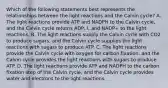 Which of the following statements best represents the relationships between the light reactions and the Calvin cycle? A. The light reactions provide ATP and NADPH to the Calvin cycle, and the Calvin cycle returns ADP, i, and NADP+ to the light reactions. B. The light reactions supply the Calvin cycle with CO2 to produce sugars, and the Calvin cycle supplies the light reactions with sugars to produce ATP. C. The light reactions provide the Calvin cycle with oxygen for carbon fixation, and the Calvin cycle provides the light reactions with sugars to produce ATP. D. The light reactions provide ATP and NADPH to the carbon fixation step of the Calvin cycle, and the Calvin cycle provides water and electrons to the light reactions.