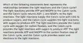 Which of the following statements best represents the relationships between the light reactions and the Calvin cycle? The light reactions provide ATP and NADPH to the Calvin cycle, and the Calvin cycle returns ADP, i, and NADP+ to the light reactions. The light reactions supply the Calvin cycle with CO2 to produce sugars, and the Calvin cycle supplies the light reactions with sugars to produce ATP. The light reactions provide the Calvin cycle with oxygen for carbon fixation, and the Calvin cycle provides the light reactions with sugars to produce ATP. The light reactions provide ATP and NADPH to the carbon fixation step of the Calvin cycle, and the Calvin cycle provides water and electrons to the light reactions.