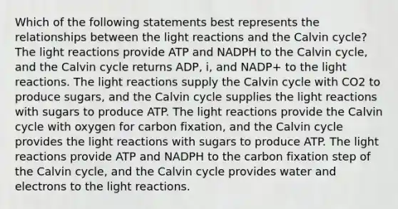 Which of the following statements best represents the relationships between the light reactions and the Calvin cycle? The light reactions provide ATP and NADPH to the Calvin cycle, and the Calvin cycle returns ADP, i, and NADP+ to the light reactions. The light reactions supply the Calvin cycle with CO2 to produce sugars, and the Calvin cycle supplies the light reactions with sugars to produce ATP. The light reactions provide the Calvin cycle with oxygen for carbon fixation, and the Calvin cycle provides the light reactions with sugars to produce ATP. The light reactions provide ATP and NADPH to the carbon fixation step of the Calvin cycle, and the Calvin cycle provides water and electrons to the light reactions.