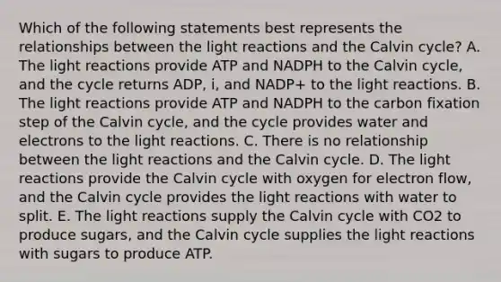 Which of the following statements best represents the relationships between the <a href='https://www.questionai.com/knowledge/kSUoWrrvoC-light-reactions' class='anchor-knowledge'>light reactions</a> and the Calvin cycle? A. The light reactions provide ATP and NADPH to the Calvin cycle, and the cycle returns ADP, i, and NADP+ to the light reactions. B. The light reactions provide ATP and NADPH to the carbon fixation step of the Calvin cycle, and the cycle provides water and electrons to the light reactions. C. There is no relationship between the light reactions and the Calvin cycle. D. The light reactions provide the Calvin cycle with oxygen for electron flow, and the Calvin cycle provides the light reactions with water to split. E. The light reactions supply the Calvin cycle with CO2 to produce sugars, and the Calvin cycle supplies the light reactions with sugars to produce ATP.