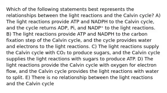 Which of the following statements best represents the relationships between the <a href='https://www.questionai.com/knowledge/kSUoWrrvoC-light-reactions' class='anchor-knowledge'>light reactions</a> and the Calvin cycle? A) The light reactions provide ATP and NADPH to the Calvin cycle, and the cycle returns ADP, Pi, and NADP⁺ to the light reactions. B) The light reactions provide ATP and NADPH to the carbon fixation step of the Calvin cycle, and the cycle provides water and electrons to the light reactions. C) The light reactions supply the Calvin cycle with CO₂ to produce sugars, and the Calvin cycle supplies the light reactions with sugars to produce ATP. D) The light reactions provide the Calvin cycle with oxygen for electron flow, and the Calvin cycle provides the light reactions with water to split. E) There is no relationship between the light reactions and the Calvin cycle