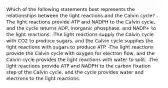 Which of the following statements best represents the relationships between the light reactions and the Calvin cycle? -The light reactions provide ATP and NADPH to the Calvin cycle, and the cycle returns ADP, inorganic phosphate, and NADP+ to the light reactions. -The light reactions supply the Calvin cycle with CO2 to produce sugars, and the Calvin cycle supplies the light reactions with sugars to produce ATP. -The light reactions provide the Calvin cycle with oxygen for electron flow, and the Calvin cycle provides the light reactions with water to split. -The light reactions provide ATP and NADPH to the carbon fixation step of the Calvin cycle, and the cycle provides water and electrons to the light reactions.