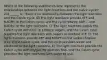 Which of the following statements best represents the relationships between the light reactions and the Calvin cycle? 21) ______ A) There is no relationship between the light reactions and the Calvin cycle. B) The light reactions provide ATP and NADPH to the Calvin cycle, and the cycle returns ADP, i, and NADP+ to the light reactions. C) The light reactions supply the Calvin cycle with CO2 to produce sugars, and the Calvin cycle supplies the light reactions with sugars to produce ATP. D) The light reactions provide ATP and NADPH to the carbon fixation step of the Calvin cycle, and the cycle provides water and electrons to the light reactions. E) The light reactions provide the Calvin cycle with oxygen for electron flow, and the Calvin cycle provides the light reactions with water to split.