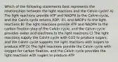 Which of the following statements best represents the relationships between the light reactions and the Calvin cycle? A) The light reactions provide ATP and NADPH to the Calvin cycle, and the Calvin cycle returns ADP, ℗i, and NADP+ to the light reactions B) The light reactions provide ATP and NADPH to the carbon fixation step of the Calvin cycle, and the Calvin cycle provides water and electrons to the light reactions C) The light reactions supply the Calvin cycle with CO2 to produce sugars, and the Calvin cycle supplies the light reactions with sugars to produce ATP D) The light reactions provide the Calvin cycle with oxygen for carbon fixation, and the Calvin cycle provides the light reactions with sugars to produce ATP