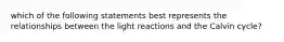 which of the following statements best represents the relationships between the light reactions and the Calvin cycle?