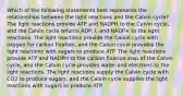 Which of the following statements best represents the relationships between the light reactions and the Calvin cycle? The light reactions provide ATP and NADPH to the Calvin cycle, and the Calvin cycle returns ADP, i, and NADP+ to the light reactions. The light reactions provide the Calvin cycle with oxygen for carbon fixation, and the Calvin cycle provides the light reactions with sugars to produce ATP. The light reactions provide ATP and NADPH to the carbon fixation step of the Calvin cycle, and the Calvin cycle provides water and electrons to the light reactions. The light reactions supply the Calvin cycle with CO2 to produce sugars, and the Calvin cycle supplies the light reactions with sugars to produce ATP.