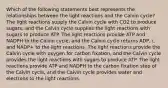 Which of the following statements best represents the relationships between the light reactions and the Calvin cycle? The light reactions supply the Calvin cycle with CO2 to produce sugars, and the Calvin cycle supplies the light reactions with sugars to produce ATP. The light reactions provide ATP and NADPH to the Calvin cycle, and the Calvin cycle returns ADP, i, and NADP+ to the light reactions. The light reactions provide the Calvin cycle with oxygen for carbon fixation, and the Calvin cycle provides the light reactions with sugars to produce ATP. The light reactions provide ATP and NADPH to the carbon fixation step of the Calvin cycle, and the Calvin cycle provides water and electrons to the light reactions.