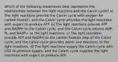 Which of the following statements best represents the relationships between the light reactions and the Calvin cycle? a) The light reactions provide the Calvin cycle with oxygen for carbon fixation, and the Calvin cycle provides the light reactions with sugars to produce ATP. b) The light reactions provide ATP and NADPH to the Calvin cycle, and the Calvin cycle returns ADP, Pi, and NADP+ to the light reactions. c) The light reactions provide ATP and NADPH to the carbon fixation step of the Calvin cycle, and the Calvin cycle provides water and electrons to the light reactions. d) The light reactions supply the Calvin cycle with CO2 to produce sugars, and the Calvin cycle supplies the light reactions with sugars to produce ATP.