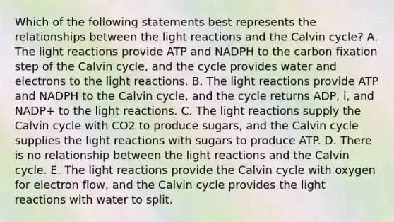 Which of the following statements best represents the relationships between the <a href='https://www.questionai.com/knowledge/kSUoWrrvoC-light-reactions' class='anchor-knowledge'>light reactions</a> and the Calvin cycle? A. The light reactions provide ATP and NADPH to the carbon fixation step of the Calvin cycle, and the cycle provides water and electrons to the light reactions. B. The light reactions provide ATP and NADPH to the Calvin cycle, and the cycle returns ADP, i, and NADP+ to the light reactions. C. The light reactions supply the Calvin cycle with CO2 to produce sugars, and the Calvin cycle supplies the light reactions with sugars to produce ATP. D. There is no relationship between the light reactions and the Calvin cycle. E. The light reactions provide the Calvin cycle with oxygen for electron flow, and the Calvin cycle provides the light reactions with water to split.