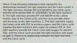 Which of the following statements best represents the relationships between the light reactions and the Calvin cycle? A. The light reactions provide ATP and NADPH to the Calvin cycle, and the cycle returns ADP, Pi, and NADP+ to the light reactions. B. The light reactions provide ATP and NADPH to the carbon fixation step of the Calvin cycle, and the cycle provides water and electrons to the light reactions. C. The light reactions supply the Calvin cycle with C02 to produce sugars, and the Calvin cycle supplies the light reactions with sugars to produce ATP. D. The light reactions provide the Calvin cycle with oxygen for electron flow, and the Calvin cycle provides the light reactions with water to split. E. There is no relationship between the light reactions and the Calvin cycle.