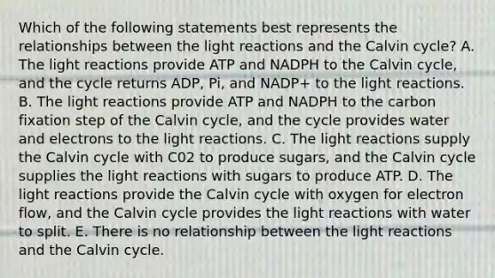 Which of the following statements best represents the relationships between the light reactions and the Calvin cycle? A. The light reactions provide ATP and NADPH to the Calvin cycle, and the cycle returns ADP, Pi, and NADP+ to the light reactions. B. The light reactions provide ATP and NADPH to the carbon fixation step of the Calvin cycle, and the cycle provides water and electrons to the light reactions. C. The light reactions supply the Calvin cycle with C02 to produce sugars, and the Calvin cycle supplies the light reactions with sugars to produce ATP. D. The light reactions provide the Calvin cycle with oxygen for electron flow, and the Calvin cycle provides the light reactions with water to split. E. There is no relationship between the light reactions and the Calvin cycle.