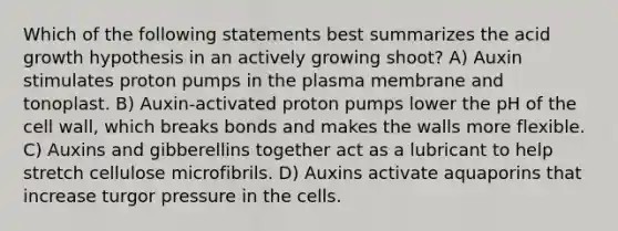 Which of the following statements best summarizes the acid growth hypothesis in an actively growing shoot? A) Auxin stimulates proton pumps in the plasma membrane and tonoplast. B) Auxin-activated proton pumps lower the pH of the cell wall, which breaks bonds and makes the walls more flexible. C) Auxins and gibberellins together act as a lubricant to help stretch cellulose microfibrils. D) Auxins activate aquaporins that increase turgor pressure in the cells.