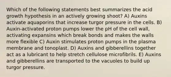 Which of the following statements best summarizes the acid growth hypothesis in an actively growing shoot? A) Auxins activate aquaporins that increase turgor pressure in the cells. B) Auxin-activated proton pumps lower the pH of the cell wall, activating expansins which break bonds and makes the walls more flexible C) Auxin stimulates proton pumps in the plasma membrane and tonoplast. D) Auxins and gibberellins together act as a lubricant to help stretch cellulose microfibrils. E) Auxins and gibberellins are transported to the vacuoles to build up turgor pressure.