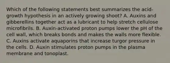 Which of the following statements best summarizes the acid-growth hypothesis in an actively growing shoot? A. Auxins and gibberellins together act as a lubricant to help stretch cellulose microfibrils. B. Auxin-activated proton pumps lower the pH of the cell wall, which breaks bonds and makes the walls more flexible. C. Auxins activate aquaporins that increase turgor pressure in the cells. D. Auxin stimulates proton pumps in the plasma membrane and tonoplast.