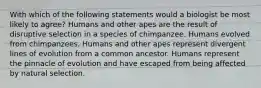 With which of the following statements would a biologist be most likely to agree? Humans and other apes are the result of disruptive selection in a species of chimpanzee. Humans evolved from chimpanzees. Humans and other apes represent divergent lines of evolution from a common ancestor. Humans represent the pinnacle of evolution and have escaped from being affected by natural selection.