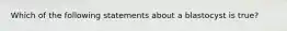 Which of the following statements about a blastocyst is true?