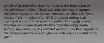 Which of the following statements about the breakdown of carbohydrates is false? Glycolysis does not require oxygen. Glycolysis occurs in the cytosol, whereas the citric acid cycle occurs in the mitochondria. ATP is produced during both glycolysis and oxidative phosphorylation. During glycolysis, starches are broken down into two molecules of pyruvate. Aerobic respiration is very efficient and captures the majority of the energy available in each glucose molecule in a usable form (ATP).