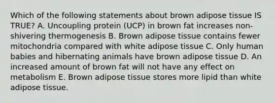 Which of the following statements about brown adipose tissue IS TRUE? A. Uncoupling protein (UCP) in brown fat increases non-shivering thermogenesis B. Brown adipose tissue contains fewer mitochondria compared with white adipose tissue C. Only human babies and hibernating animals have brown adipose tissue D. An increased amount of brown fat will not have any effect on metabolism E. Brown adipose tissue stores more lipid than white adipose tissue.