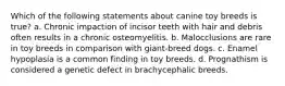 Which of the following statements about canine toy breeds is true? a. Chronic impaction of incisor teeth with hair and debris often results in a chronic osteomyelitis. b. Malocclusions are rare in toy breeds in comparison with giant-breed dogs. c. Enamel hypoplasia is a common finding in toy breeds. d. Prognathism is considered a genetic defect in brachycephalic breeds.