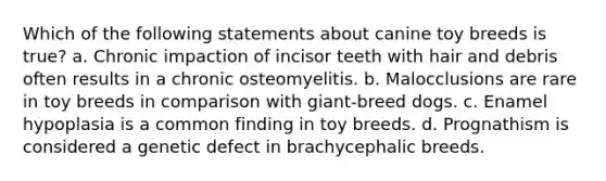 Which of the following statements about canine toy breeds is true? a. Chronic impaction of incisor teeth with hair and debris often results in a chronic osteomyelitis. b. Malocclusions are rare in toy breeds in comparison with giant-breed dogs. c. Enamel hypoplasia is a common finding in toy breeds. d. Prognathism is considered a genetic defect in brachycephalic breeds.