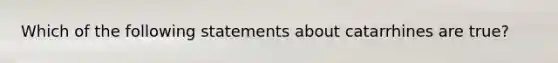 Which of the following statements about catarrhines are true?