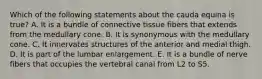 Which of the following statements about the cauda equina is true? A. It is a bundle of connective tissue fibers that extends from the medullary cone. B. It is synonymous with the medullary cone. C. It innervates structures of the anterior and medial thigh. D. It is part of the lumbar enlargement. E. It is a bundle of nerve fibers that occupies the vertebral canal from L2 to S5.