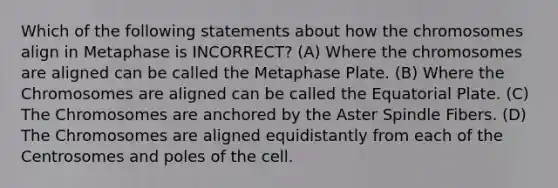 Which of the following statements about how the chromosomes align in Metaphase is INCORRECT? (A) Where the chromosomes are aligned can be called the Metaphase Plate. (B) Where the Chromosomes are aligned can be called the Equatorial Plate. (C) The Chromosomes are anchored by the Aster Spindle Fibers. (D) The Chromosomes are aligned equidistantly from each of the Centrosomes and poles of the cell.