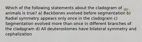 Which of the following statements about the cladogram of animals is true? a) Backbones evolved before segmentation b) Radial symmetry appears only once in the cladogram c) Segmentation evolved more than once in different branches of the cladogram d) All deuterostomes have bilateral symmetry and cephalization