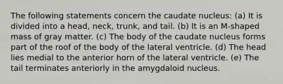 The following statements concern the caudate nucleus: (a) It is divided into a head, neck, trunk, and tail. (b) It is an M-shaped mass of gray matter. (c) The body of the caudate nucleus forms part of the roof of the body of the lateral ventricle. (d) The head lies medial to the anterior horn of the lateral ventricle. (e) The tail terminates anteriorly in the amygdaloid nucleus.