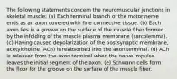 The following statements concern the neuromuscular junctions in skeletal muscle: (a) Each terminal branch of the motor nerve ends as an axon covered with fine connective tissue. (b) Each axon lies in a groove on the surface of the muscle fiber formed by the infolding of the muscle plasma membrane (sarcolemma). (c) Having caused depolarization of the postsynaptic membrane, acetylcholine (ACh) ls reabsorbed into the axon terminal. (d) ACh is released from the axon terminal when the nerve impulse leaves the initial segment of the axon. (e) Schwann cells form the floor for the groove on the surface of the muscle fiber.