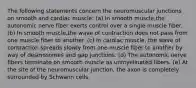 The following statements concern the neuromuscular junctions on smooth and cardiac muscle: (a) In smooth muscle,the autonomic nerve fiber exerts control over a single muscle fiber. (b) In smooth muscle,the wave of contraction does not pass from one muscle fiber to another. (c) In cardiac muscle, the wave of contraction spreads slowly from one muscle fiber to another by way of desmosomes and gap junctions. (d) The autonomic nerve fibers terminate on smooth muscle as unmyelinated fibers. (e) At the site of the neuromuscular junction, the axon is completely surrounded by Schwann cells.