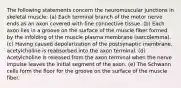 The following statements concern the neuromuscular junctions in skeletal muscle: (a) Each terminal branch of the motor nerve ends as an axon covered with fine connective tissue. (b) Each axon lies in a groove on the surface of the muscle fiber formed by the infolding of the muscle plasma membrane (sarcolemma). (c) Having caused depolarization of the postsynaptic membrane, acetylcholine is reabsorbed into the axon terminal. (d) Acetylcholine is released from the axon terminal when the nerve impulse leaves the initial segment of the axon. (e) The Schwann cells form the floor for the groove on the surface of the muscle fiber.