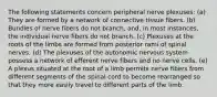 The following statements concern peripheral nerve plexuses: (a) They are formed by a network of connective tissue fibers. (b) Bundles of nerve fibers do not branch, and, in most instances, the individual nerve fibers do not branch. (c) Plexuses at the roots of the limbs are formed from posterior rami of spinal nerves. (d) The plexuses of the autonomic nervous system possess a network of efferent nerve fibers and no nerve cells. (e) A plexus situated at the root of a limb permits nerve fibers from different segments of the spinal cord to become rearranged so that they more easily travel to different parts of the limb.