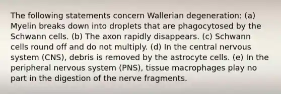 The following statements concern Wallerian degeneration: (a) Myelin breaks down into droplets that are phagocytosed by the Schwann cells. (b) The axon rapidly disappears. (c) Schwann cells round off and do not multiply. (d) In the central nervous system (CNS), debris is removed by the astrocyte cells. (e) In the peripheral nervous system (PNS), tissue macrophages play no part in the digestion of the nerve fragments.