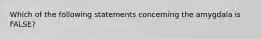 Which of the following statements concerning the amygdala is FALSE?