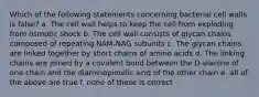 Which of the following statements concerning bacterial cell walls is false? a. The cell wall helps to keep the cell from exploding from osmotic shock b. The cell wall consists of glycan chains composed of repeating NAM-NAG subunits c. The glycan chains are linked together by short chains of amino acids d. The linking chains are joined by a covalent bond between the D-alanine of one chain and the diaminopimelic acid of the other chain e. all of the above are true f. none of these is correct