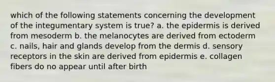 which of the following statements concerning the development of the integumentary system is true? a. the epidermis is derived from mesoderm b. the melanocytes are derived from ectoderm c. nails, hair and glands develop from the dermis d. sensory receptors in the skin are derived from epidermis e. collagen fibers do no appear until after birth