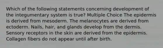 Which of the following statements concerning development of the integumentary system is true? Multiple Choice The epidermis is derived from mesoderm. The melanocytes are derived from ectoderm. Nails, hair, and glands develop from the dermis. Sensory receptors in the skin are derived from the epidermis. Collagen fibers do not appear until after birth.