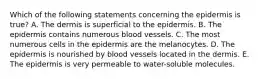 Which of the following statements concerning the epidermis is true? A. The dermis is superficial to the epidermis. B. The epidermis contains numerous blood vessels. C. The most numerous cells in the epidermis are the melanocytes. D. The epidermis is nourished by blood vessels located in the dermis. E. The epidermis is very permeable to water-soluble molecules.