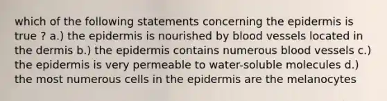 which of the following statements concerning the epidermis is true ? a.) the epidermis is nourished by blood vessels located in the dermis b.) the epidermis contains numerous blood vessels c.) the epidermis is very permeable to water-soluble molecules d.) the most numerous cells in the epidermis are the melanocytes