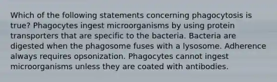 Which of the following statements concerning phagocytosis is true? Phagocytes ingest microorganisms by using protein transporters that are specific to the bacteria. Bacteria are digested when the phagosome fuses with a lysosome. Adherence always requires opsonization. Phagocytes cannot ingest microorganisms unless they are coated with antibodies.