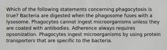 Which of the following statements concerning phagocytosis is true? Bacteria are digested when the phagosome fuses with a lysosome. Phagocytes cannot ingest microorganisms unless they are coated with antibodies. Adherence always requires opsonization. Phagocytes ingest microorganisms by using protein transporters that are specific to the bacteria.